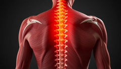 Stärke deine Lendenmuskeln für einen schmerzfreien Rücken