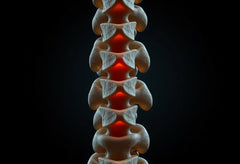 Wirbelgelenke verstehen: Schlüssel zur schmerzfreien Bewegung