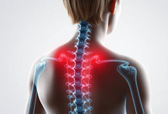 Leben ohne Rückenschmerzen: Tipps bei bandscheibenprolaps